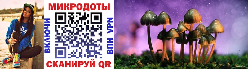 Купить где  Шелехов  Псилоцибиновые грибы MAGIC MUSHROOMS 